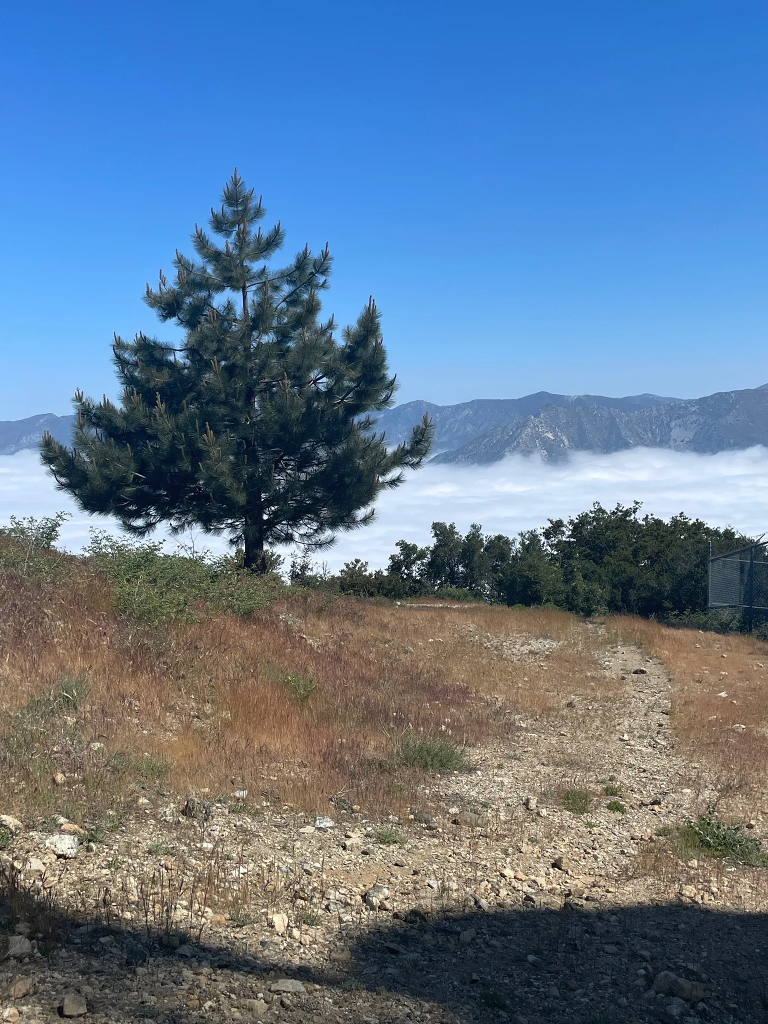 Haines Canyon To Mount Lukens Trail