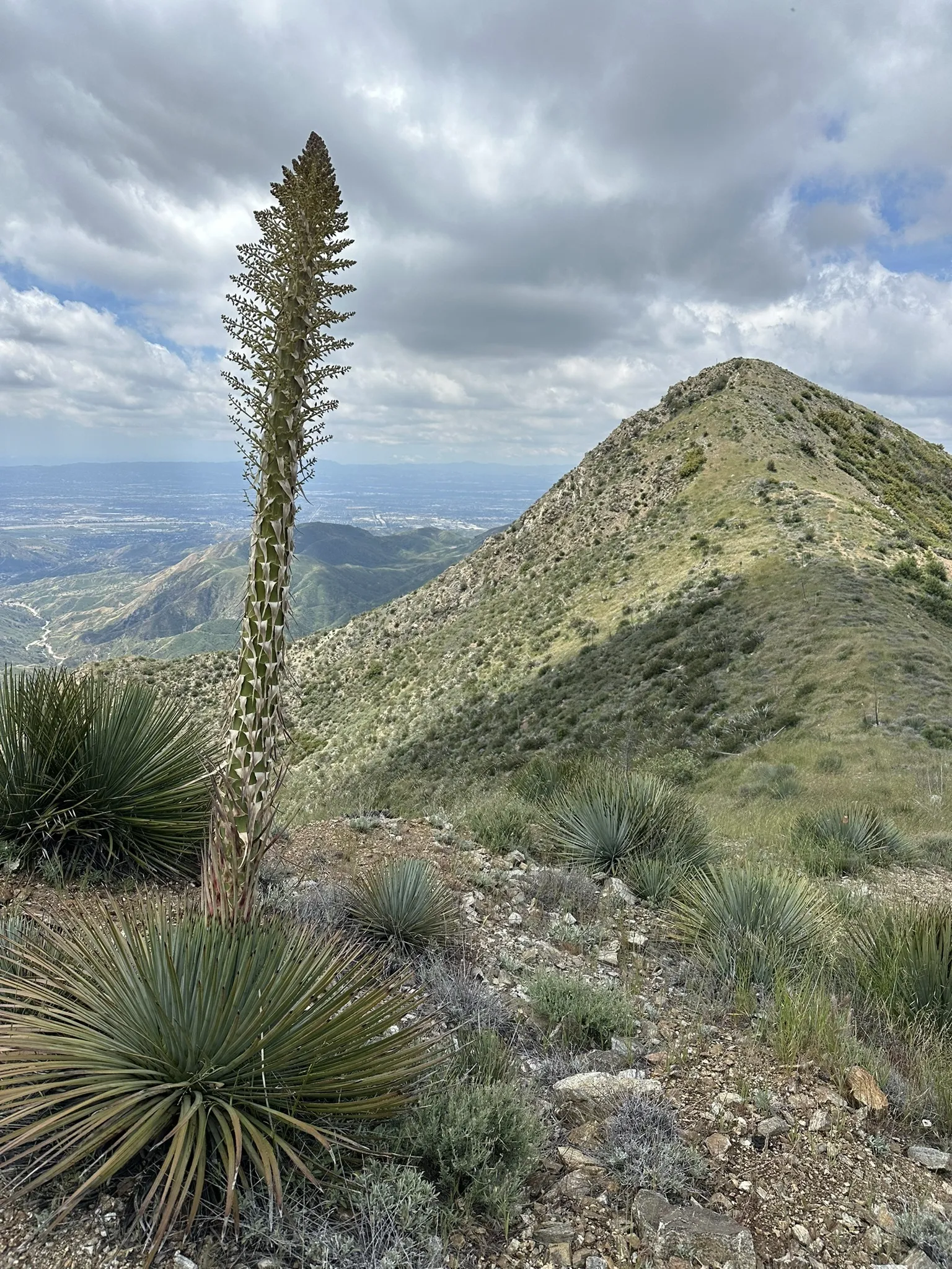 Mendehhall Ridge Loop